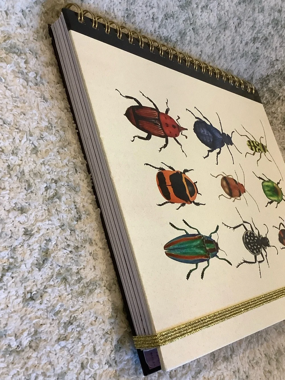 James Burke Collection Colorful Bugs Five Subject Notebook NWT 9.25x11” 120 page